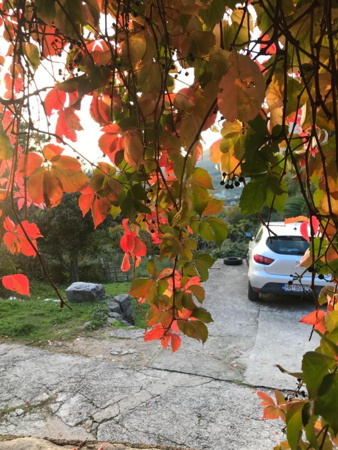 Etno village Mihailovic II Herceg Novi Esterno foto