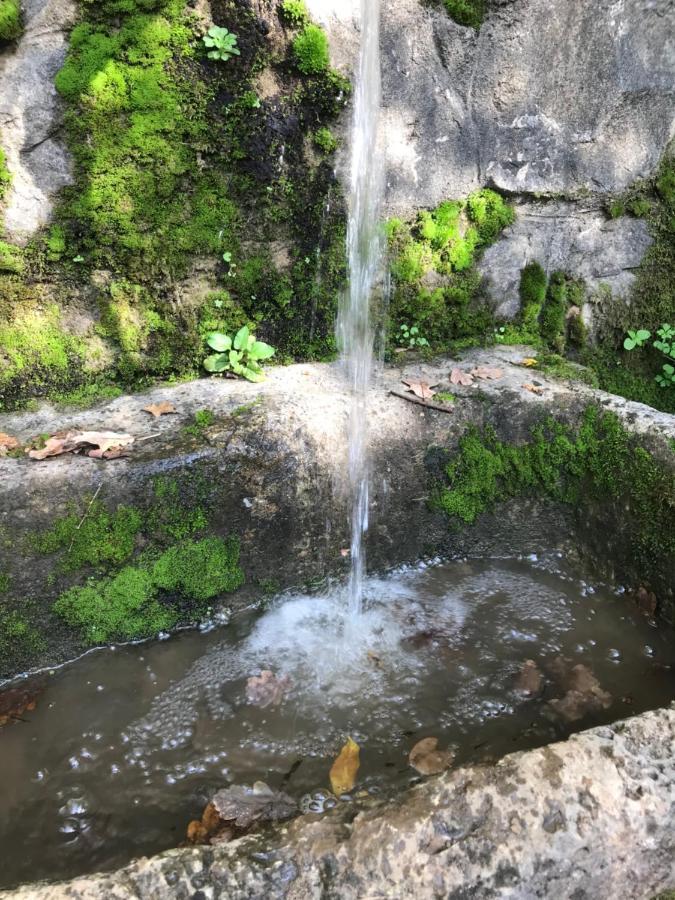 Etno village Mihailovic II Herceg Novi Esterno foto